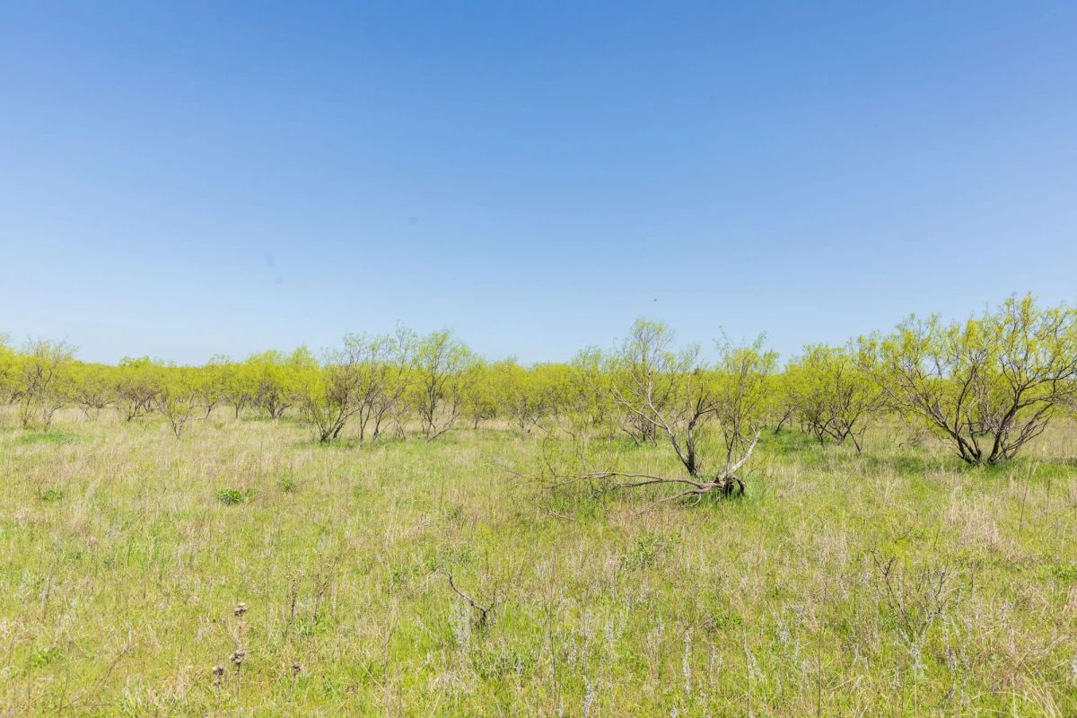 Decorative background for Hackberry Fields Tract 23 image 13