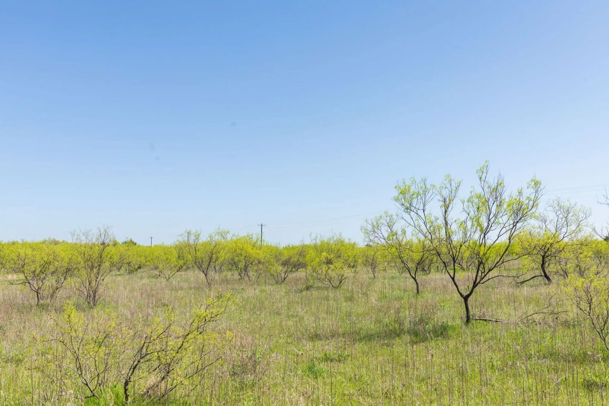 Decorative background for Hackberry Fields Tract 23 image 14
