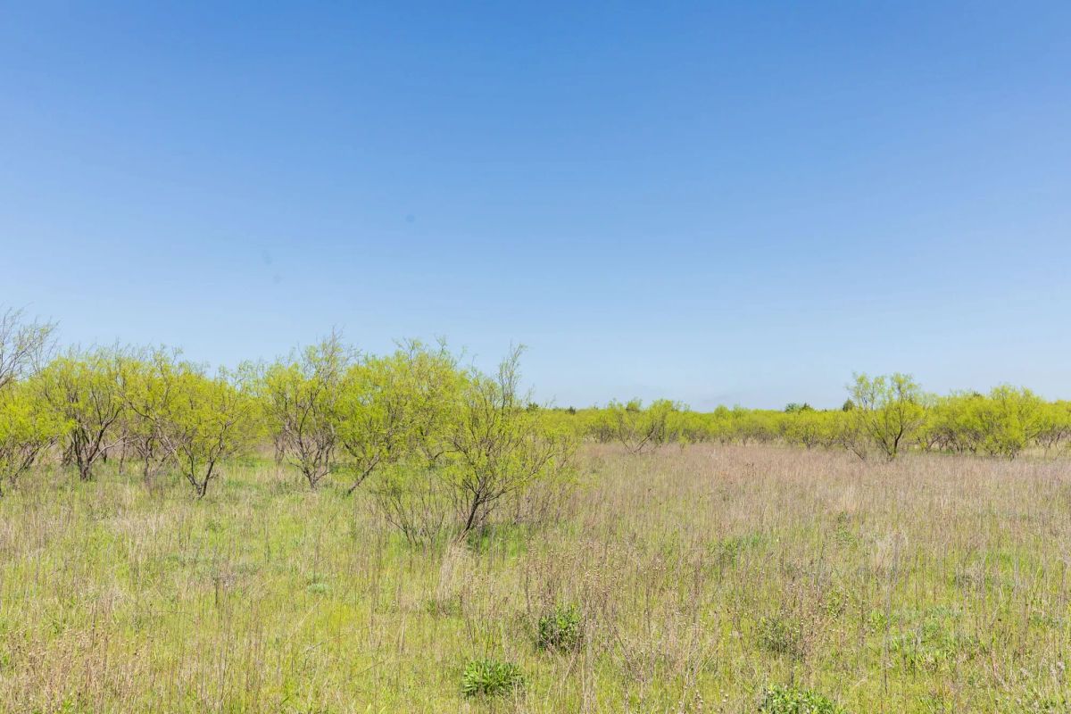 Decorative background for Hackberry Fields Tract 23 image 15