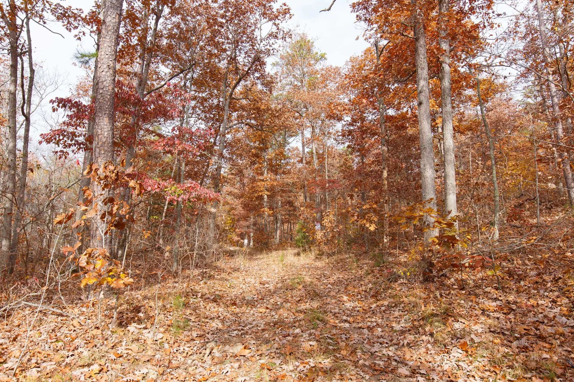 Hawkcrest Tract 45 in Reynolds County, MO