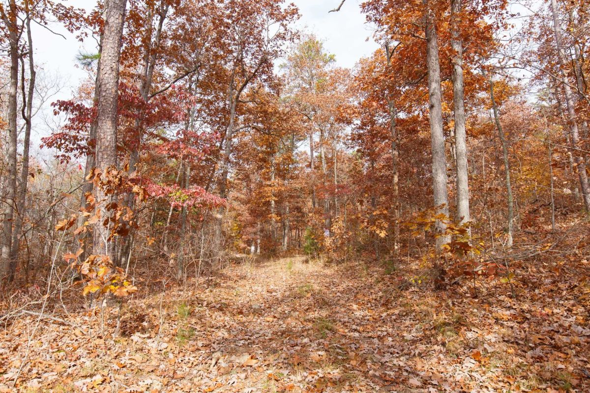 Hawkcrest Tract 45 - Main image