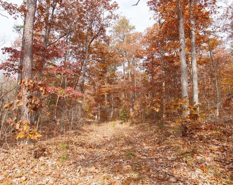 Hawkcrest Tract 45 in Reynolds County, MO