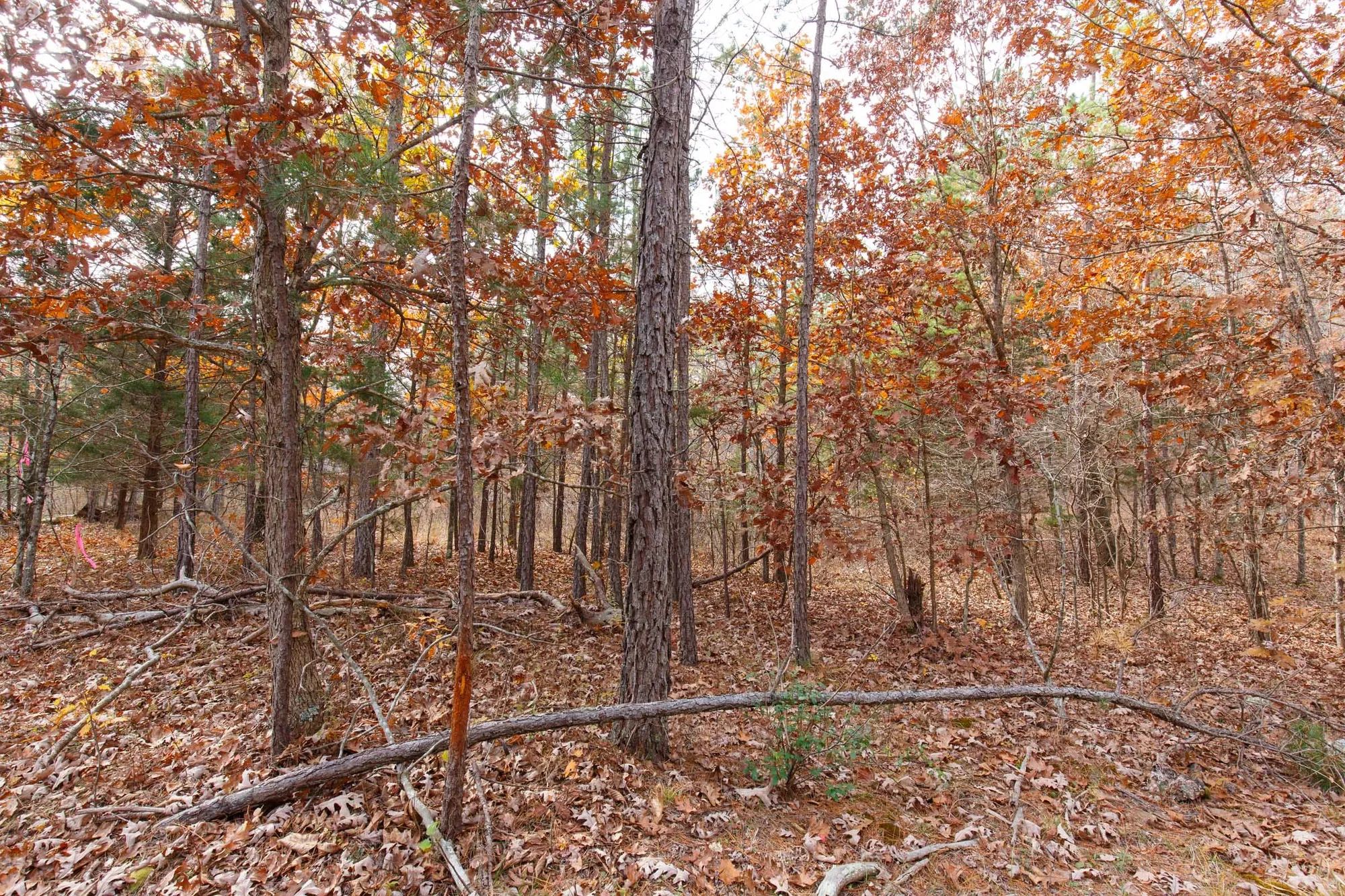 Hawkcrest Tract 45 in Reynolds County, MO