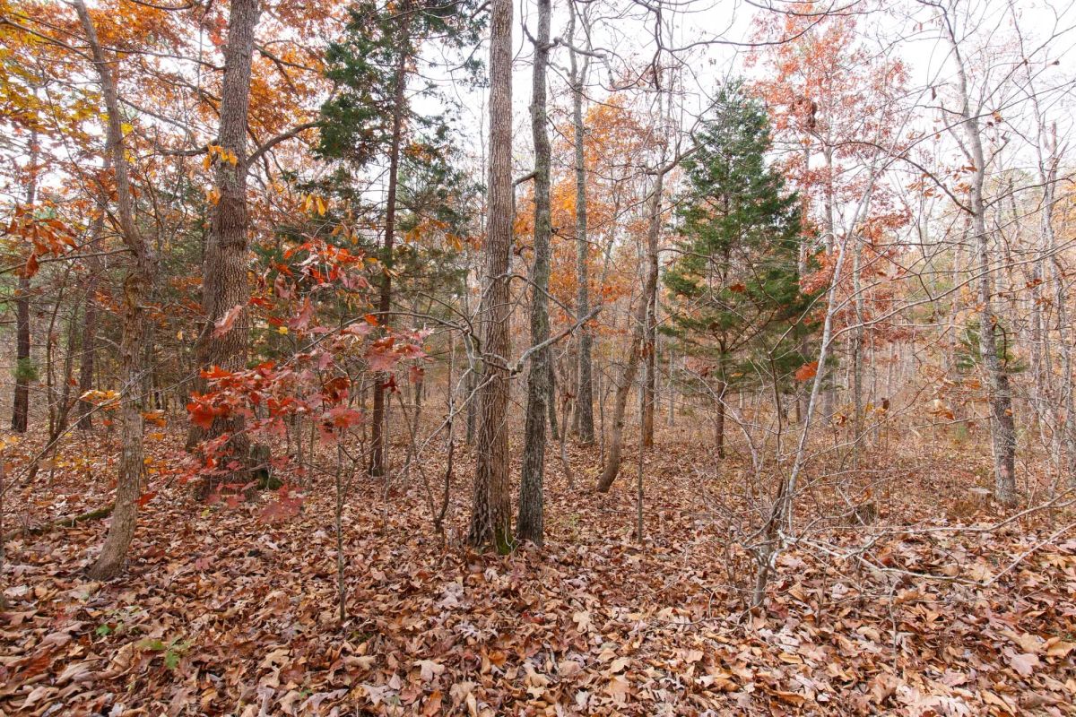 Hawkcrest Tract 45 - Image 4