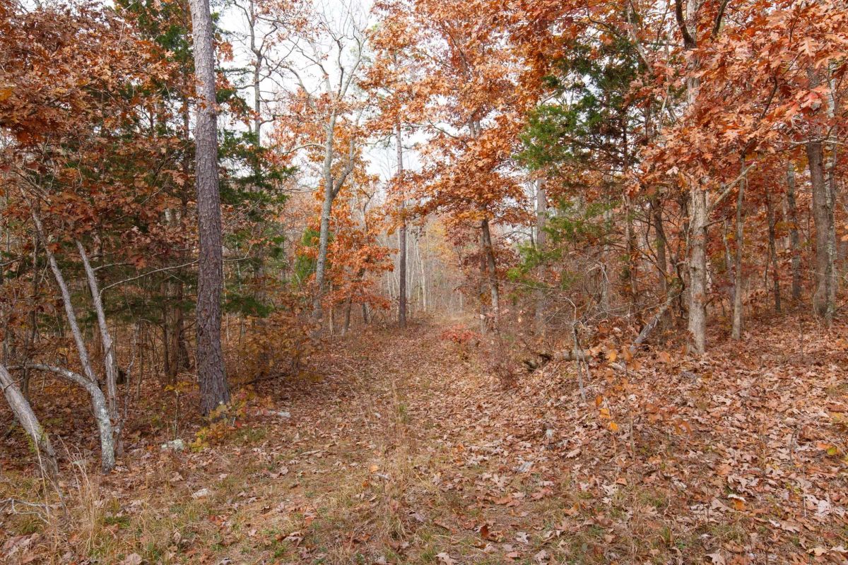 Decorative background for Hawkcrest Tract 45 image 5