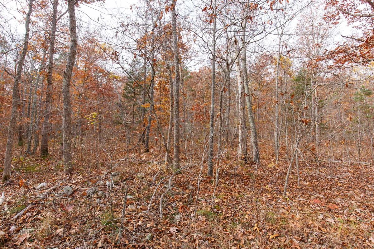Decorative background for Hawkcrest Tract 45 image 6