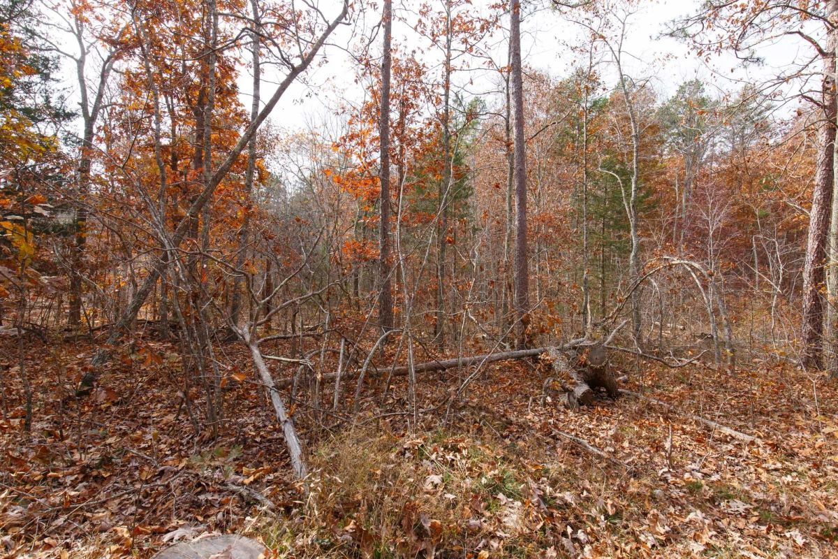 Decorative background for Hawkcrest Tract 45 image 8
