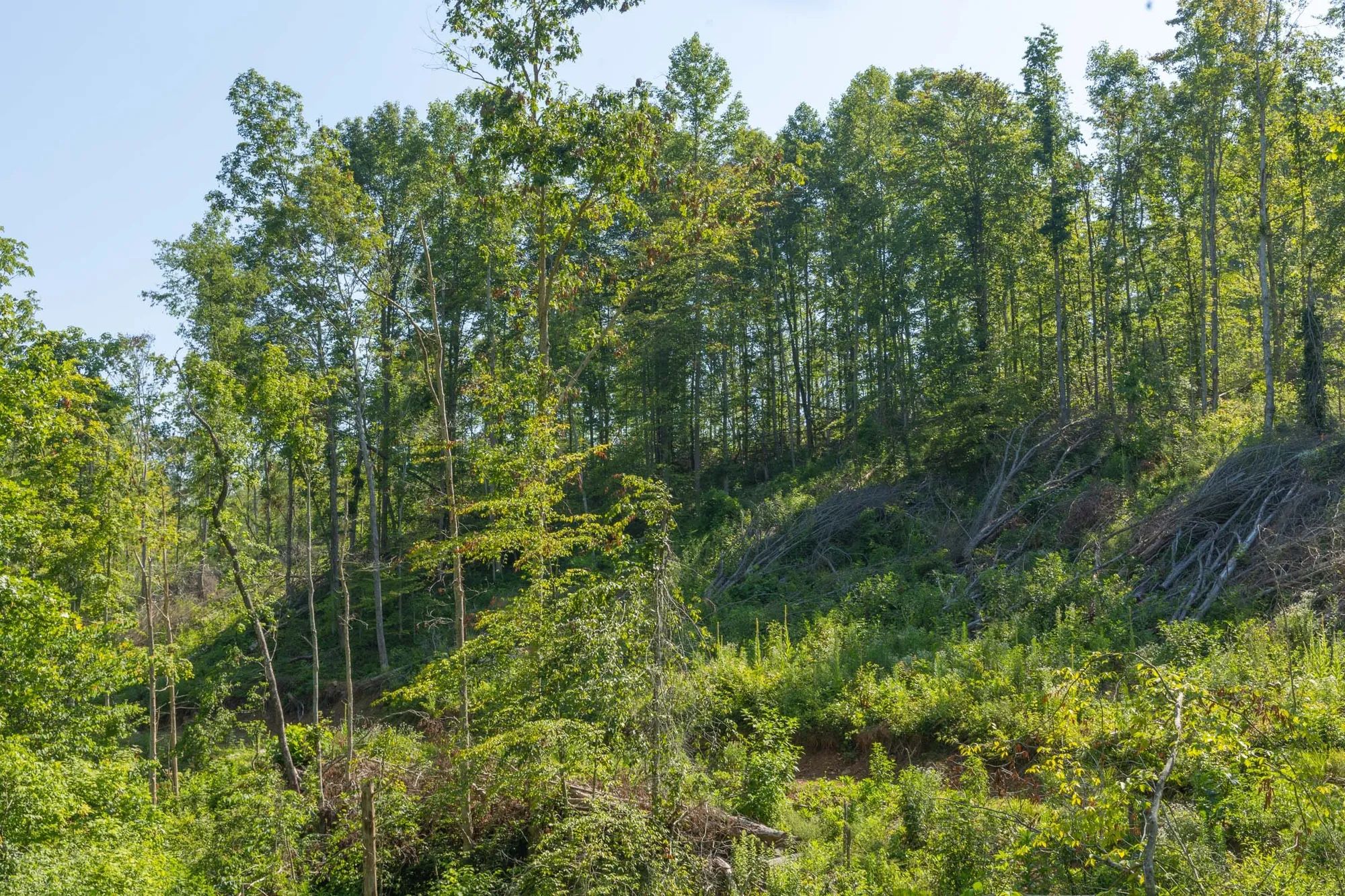 Creek Hollow Phase II Tract 78 in Rockcastle County, KY