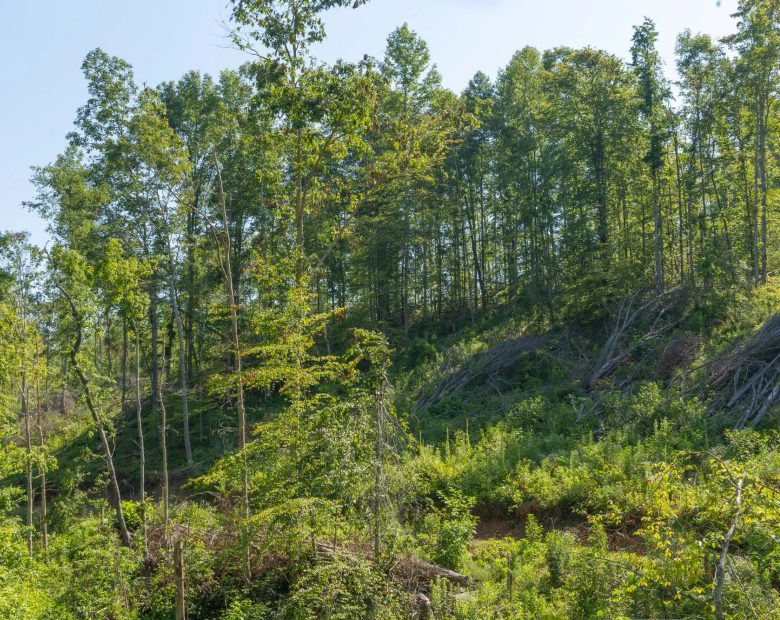 Creek Hollow Phase II Tract 78 in Rockcastle County, KY