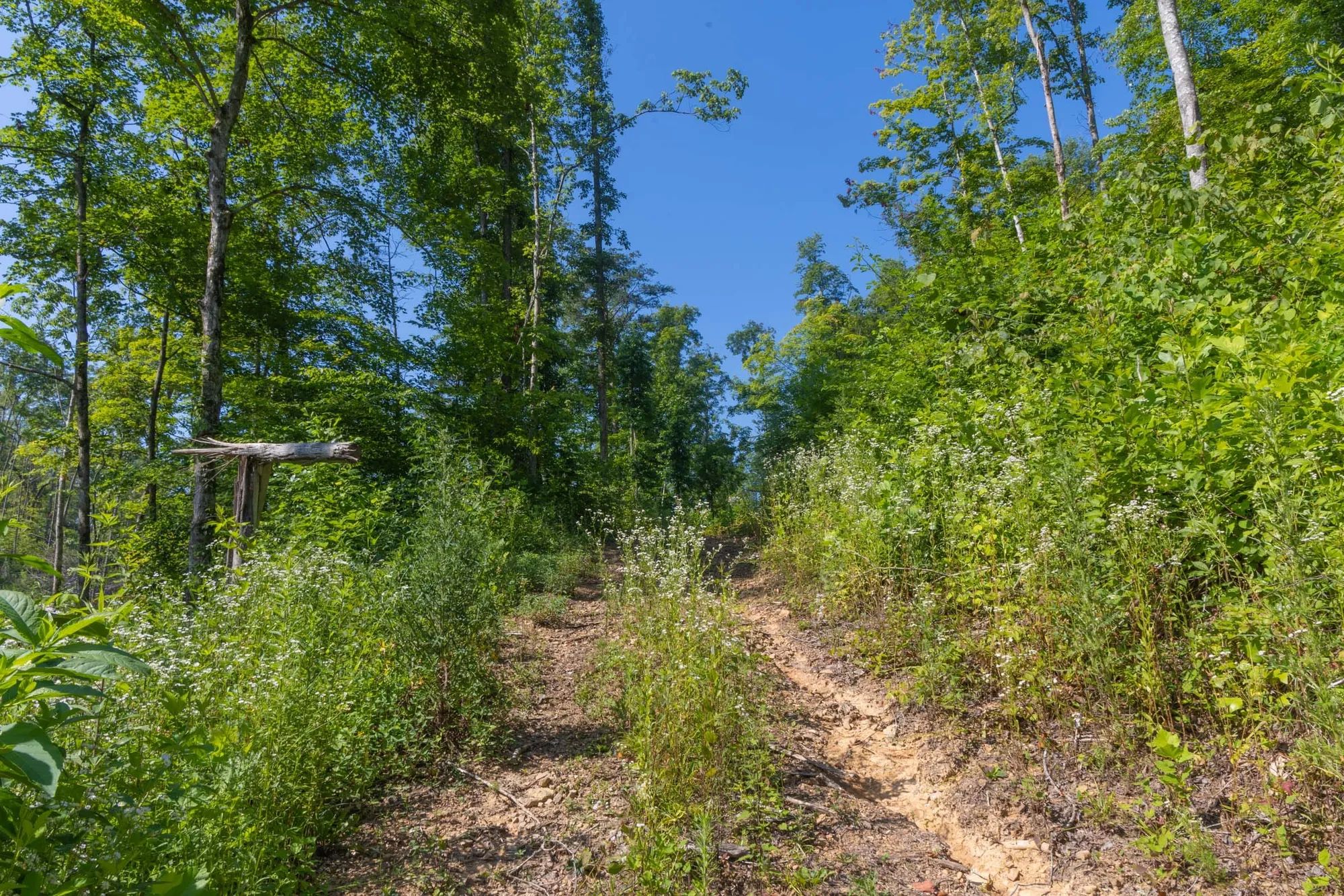 Creek Hollow Phase II Tract 78 in Rockcastle County, KY