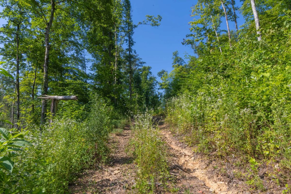 Creek Hollow Phase II Tract 78 - Image 2