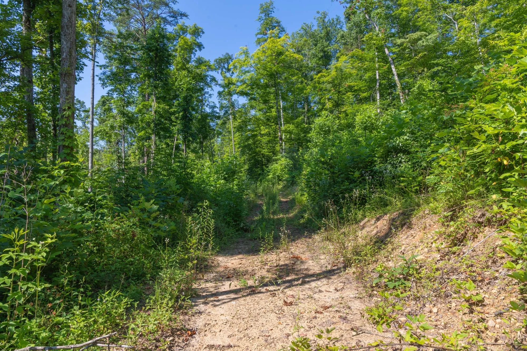 Creek Hollow Phase II Tract 78 in Rockcastle County, KY