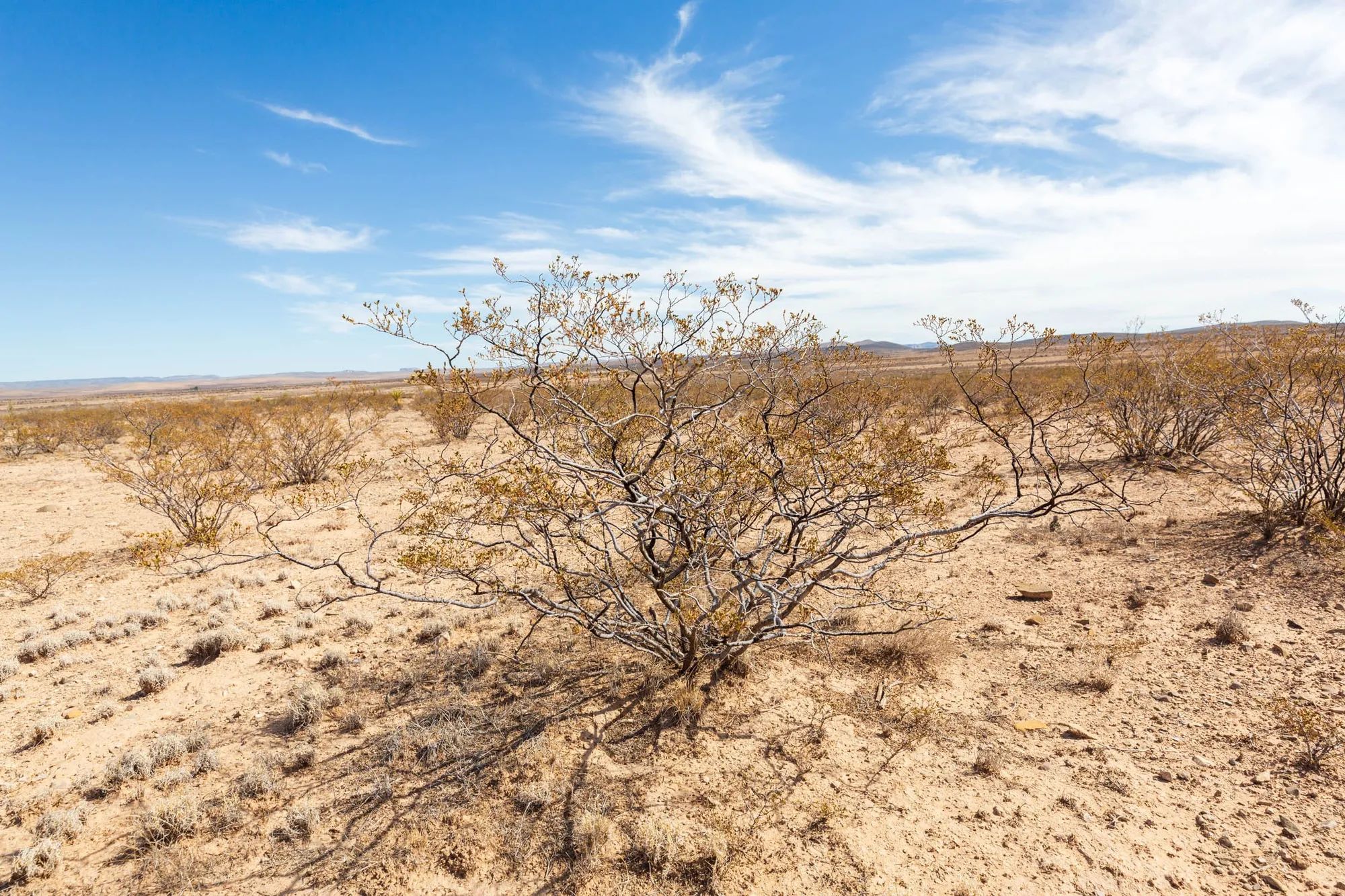 Sunrise Ranches Phase III Tract 141 in Hudspeth County, TX
