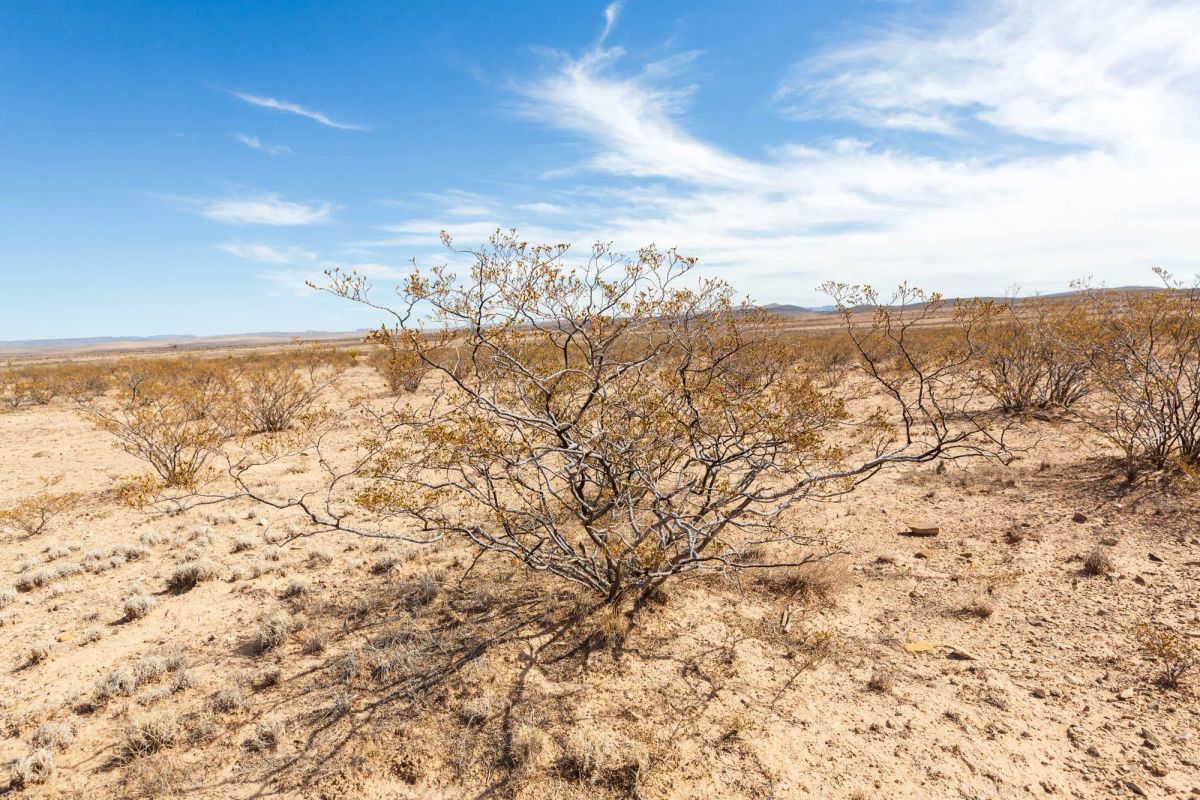 Sunrise Ranches Phase III Tract 141 - Image 3