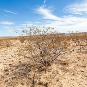 Sunrise Ranches Phase III Tract 141 in Hudspeth County, TX