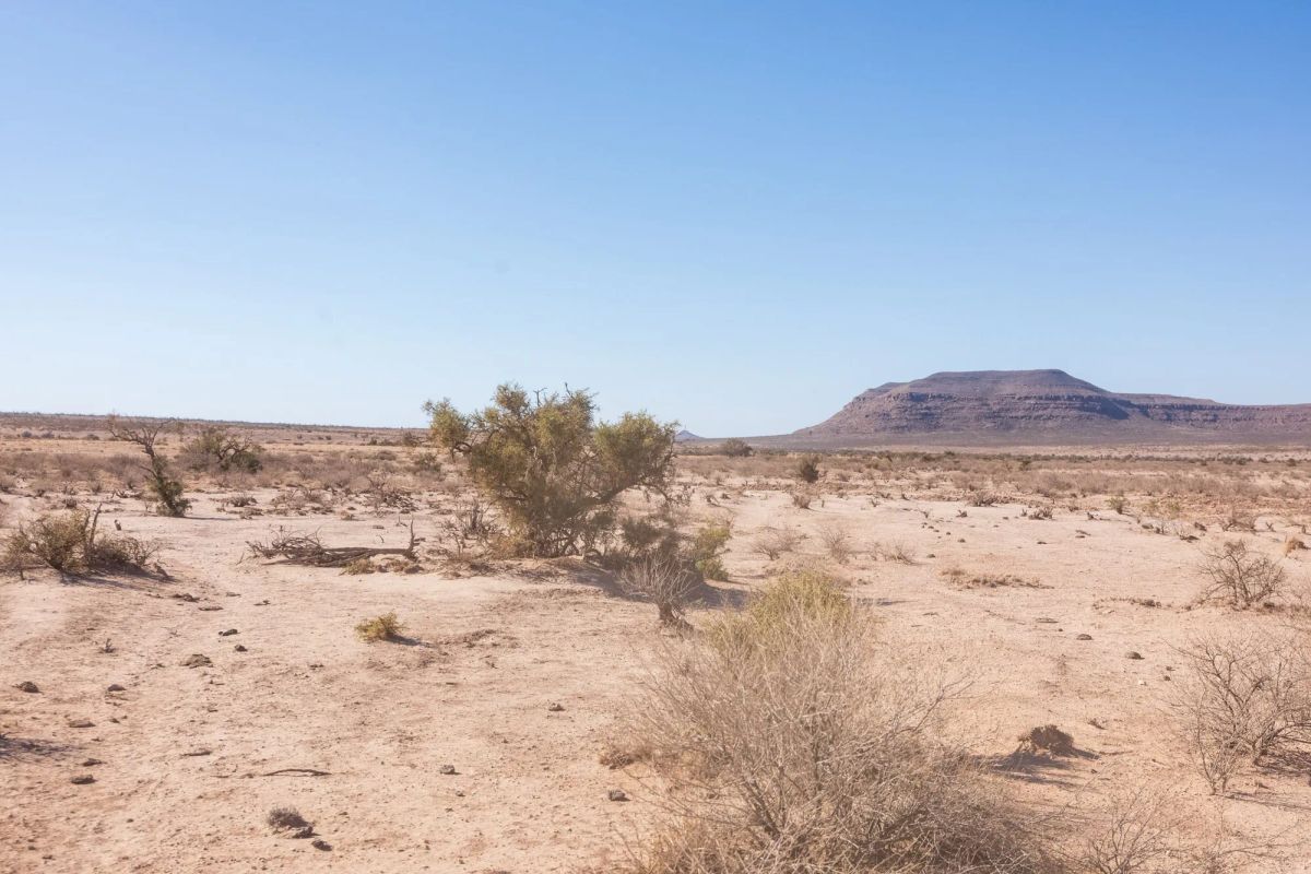 Decorative background for Sunrise Ranches Phase III Tract 141 image 6