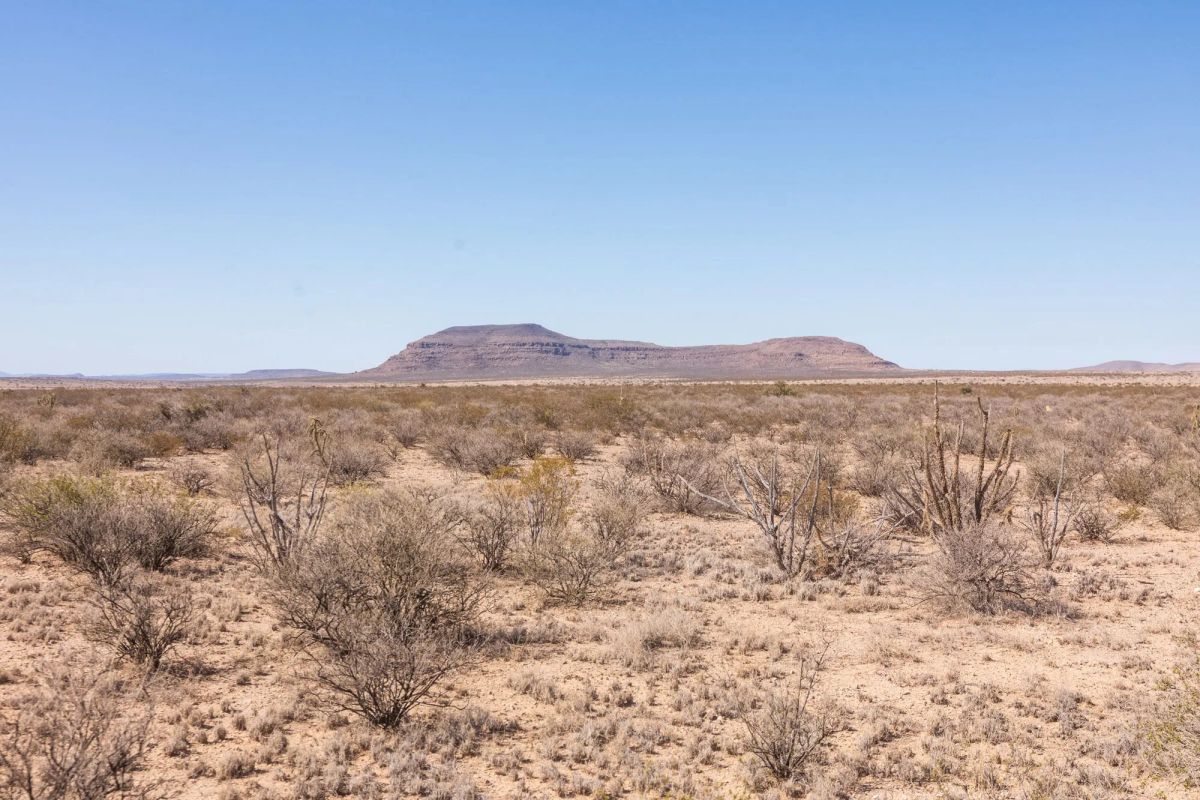 Decorative background for Sunrise Ranches Phase III Tract 141 image 8