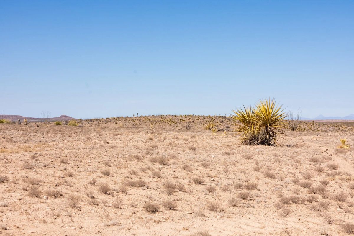 Decorative background for Sunrise Ranches Phase III Tract 141 image 9