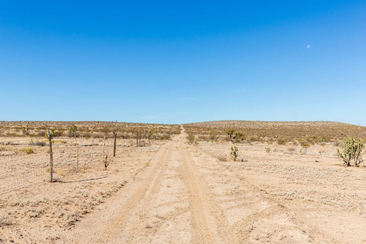 Decorative background for Sunrise Ranches Phase III Tract 141 image 17