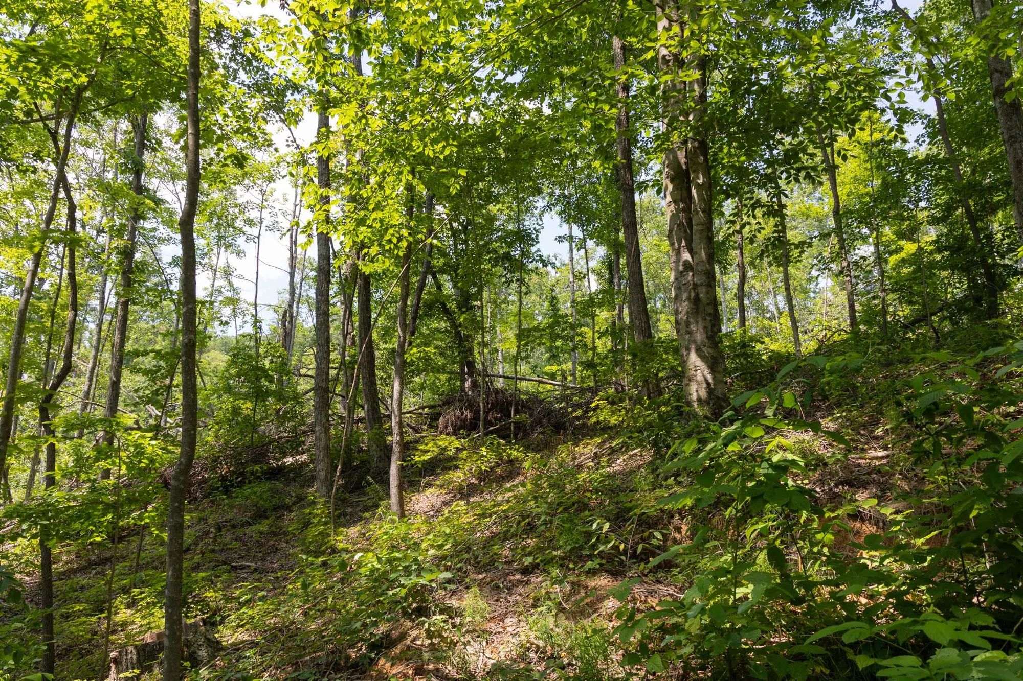 Creek Hollow Phase II Tract 58 in Rockcastle County, KY
