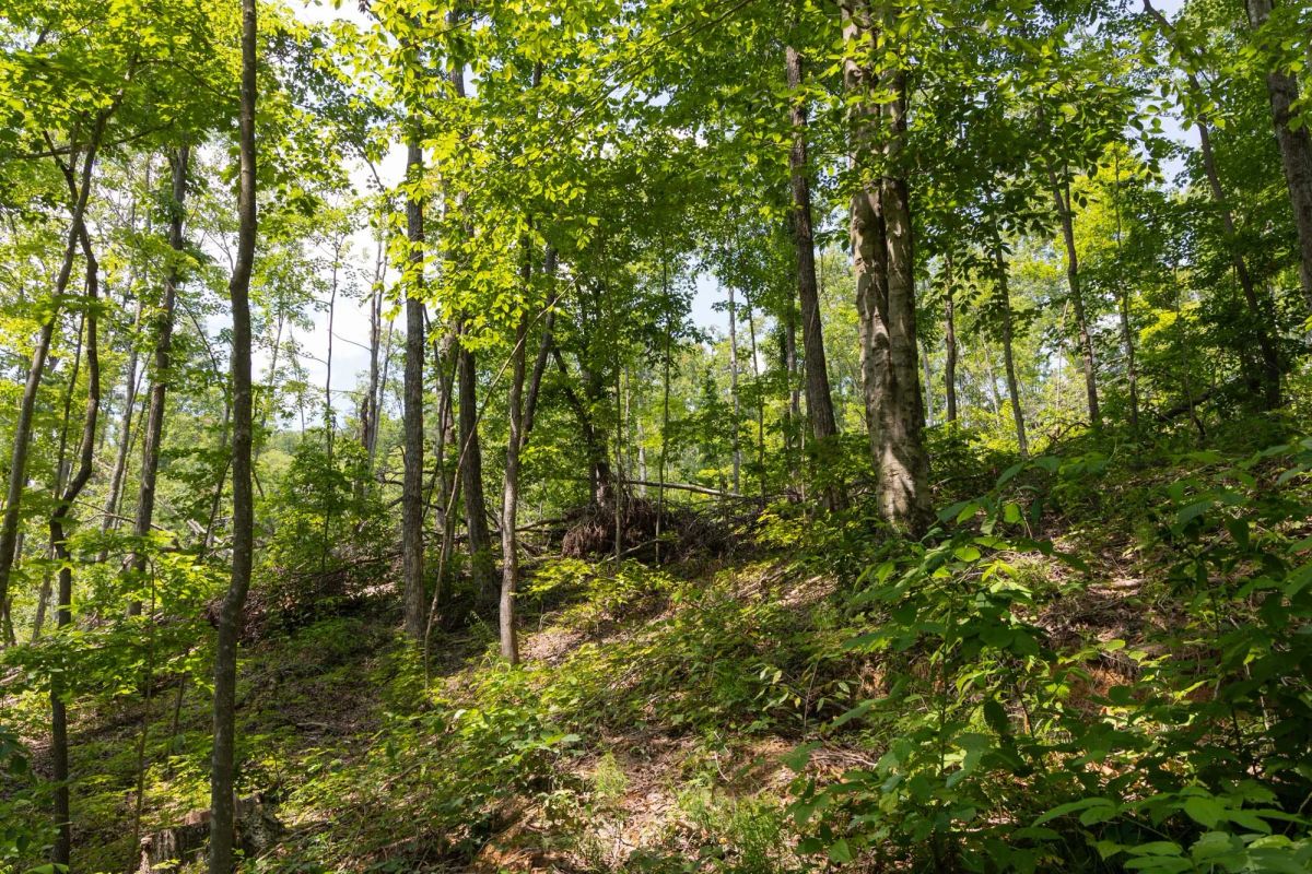 Creek Hollow Phase II Tract 58 - Main image