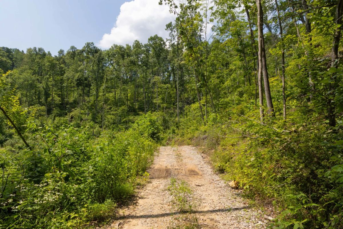 Creek Hollow Phase II Tract 58 - Image 2