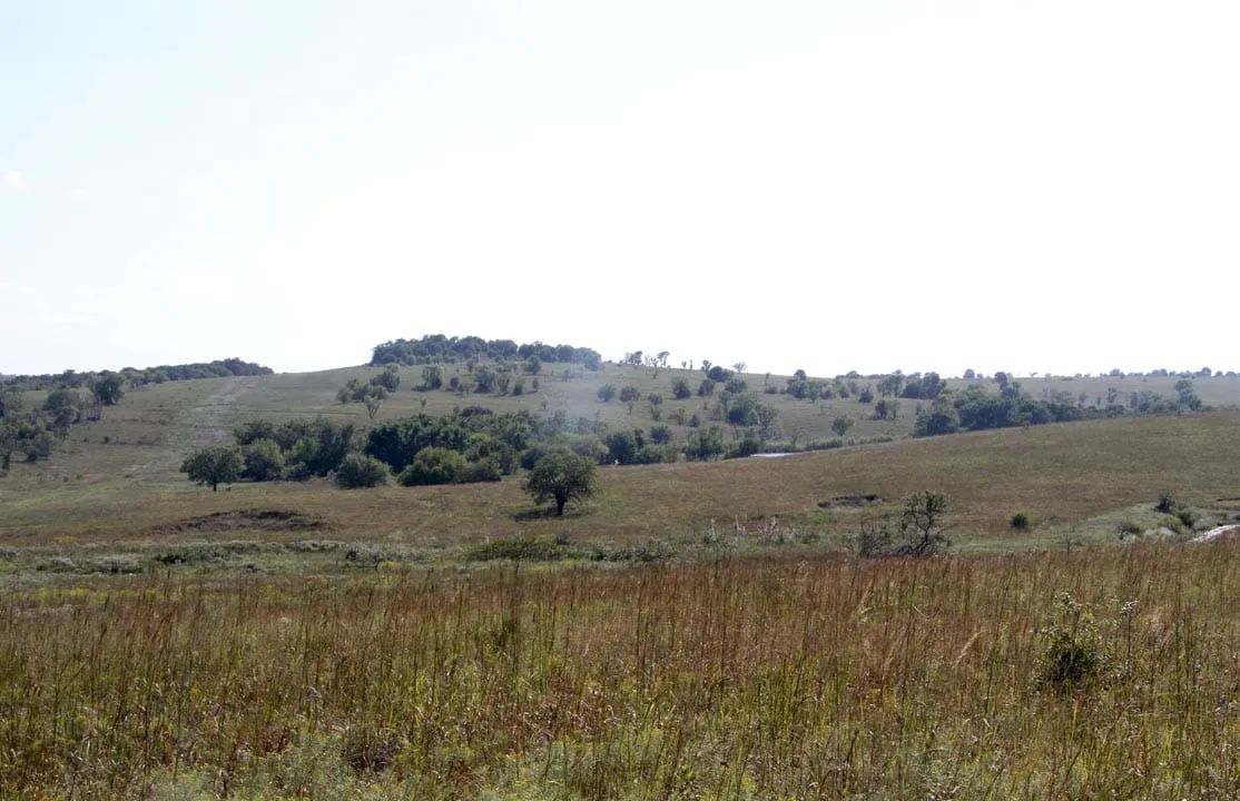 Cowboy Meadows Tract 21 - Main image