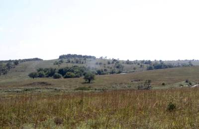 Cowboy Meadows Tract 21
