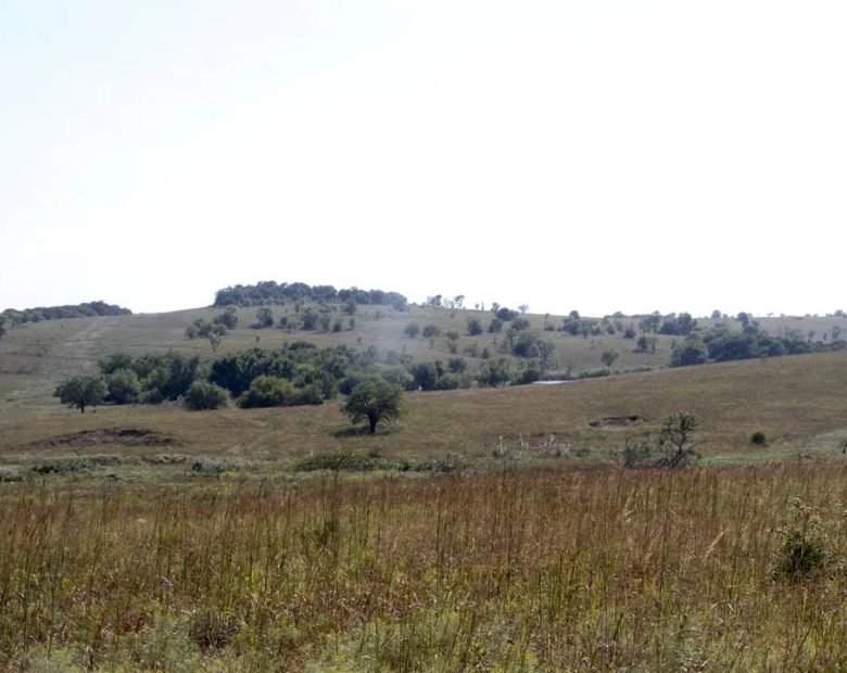 Cowboy Meadows Tract 21 in Chautauqua County, KS