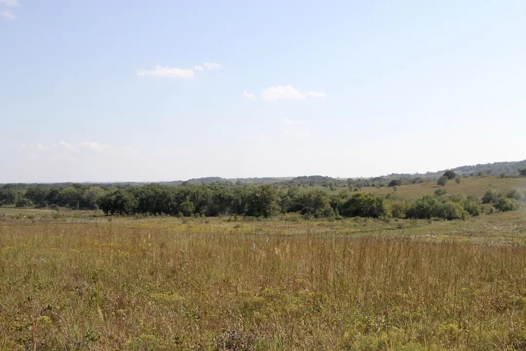 Cowboy Meadows Tract 21 in Chautauqua County, KS