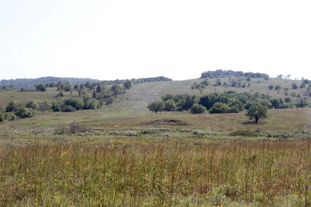 Cowboy Meadows Tract 21 in Chautauqua County, KS