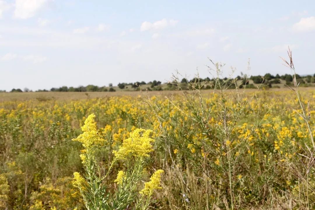Cowboy Meadows Tract 21 - Image 4