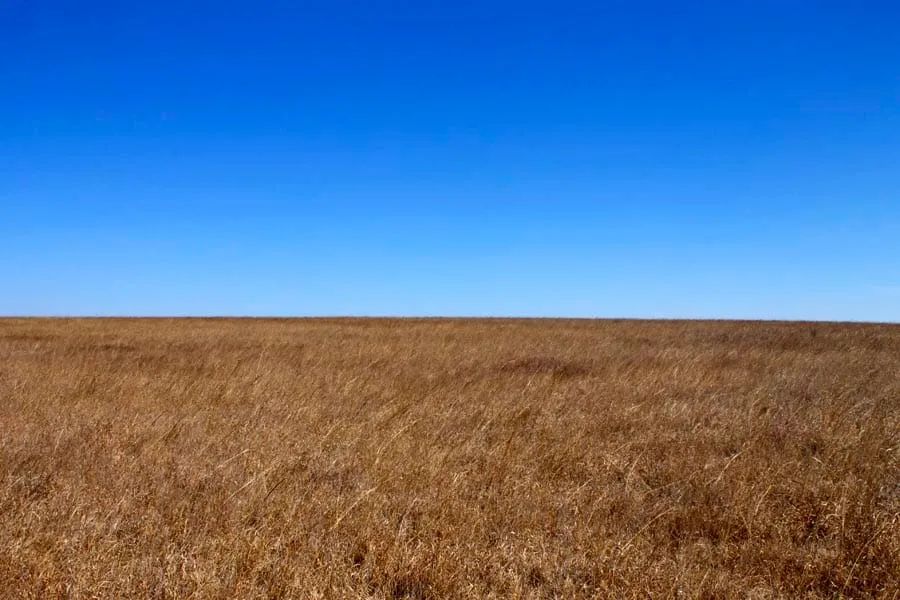 Decorative background for Cowboy Meadows Tract 21 image 7