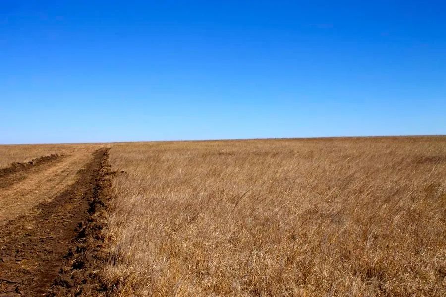 Decorative background for Cowboy Meadows Tract 21 image 8