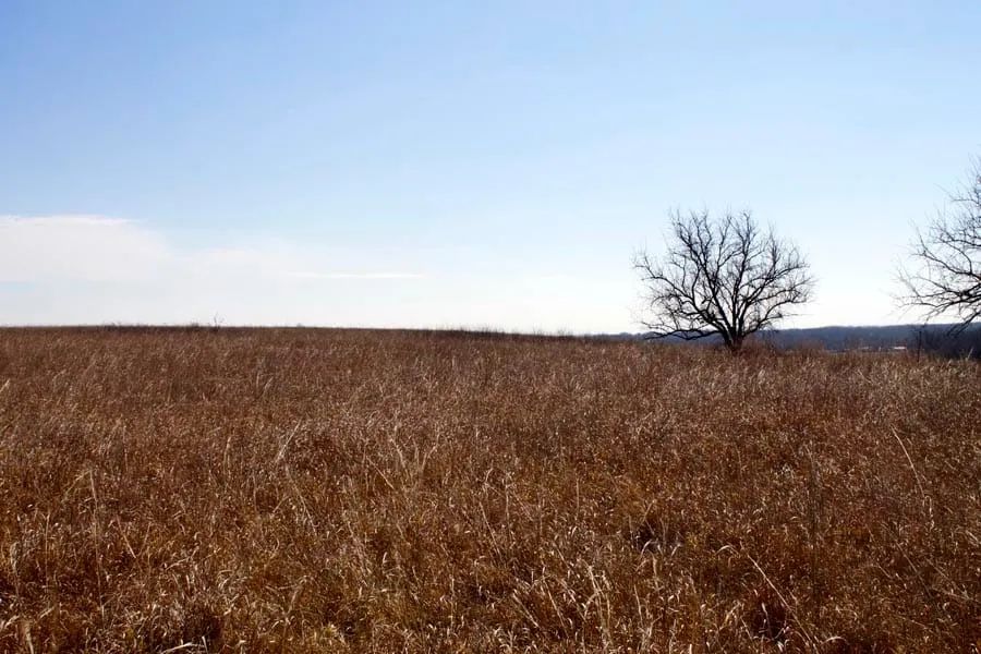 Decorative background for Cowboy Meadows Tract 21 image 9