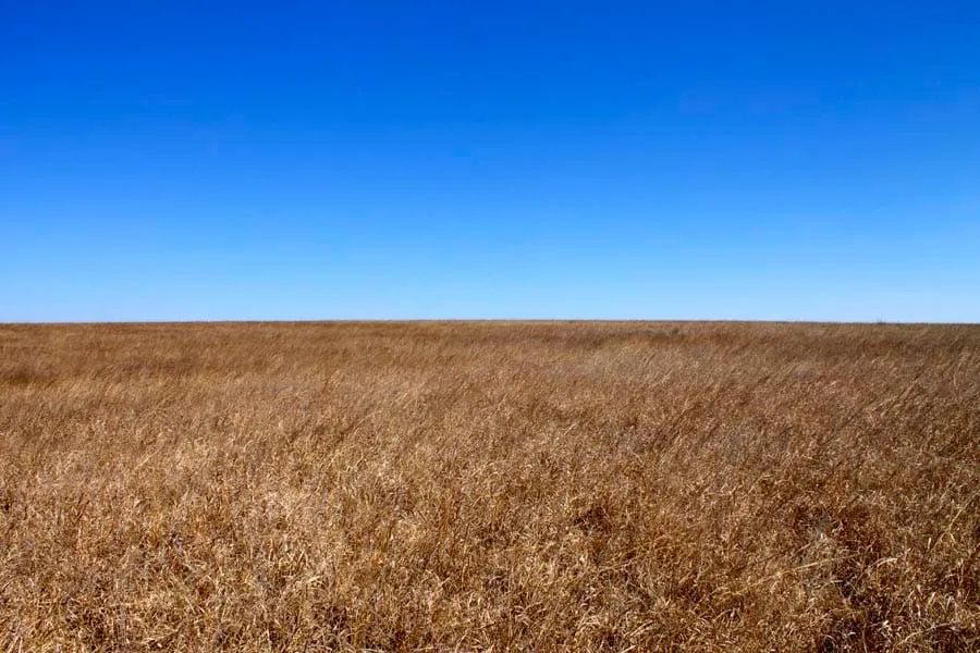 Decorative background for Cowboy Meadows Tract 21 image 10