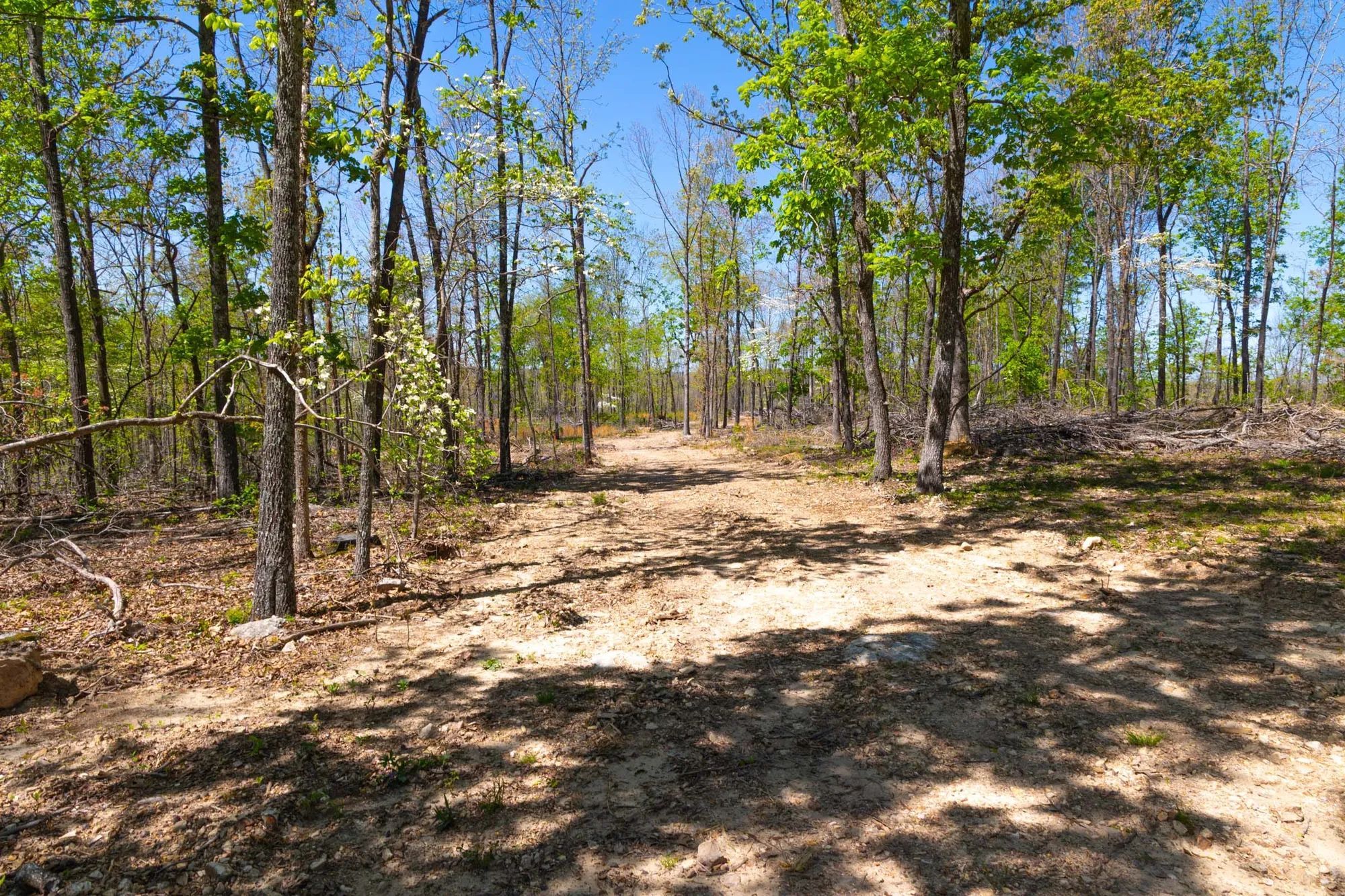 Lazybrook Tract 13 in Fulton County, AR