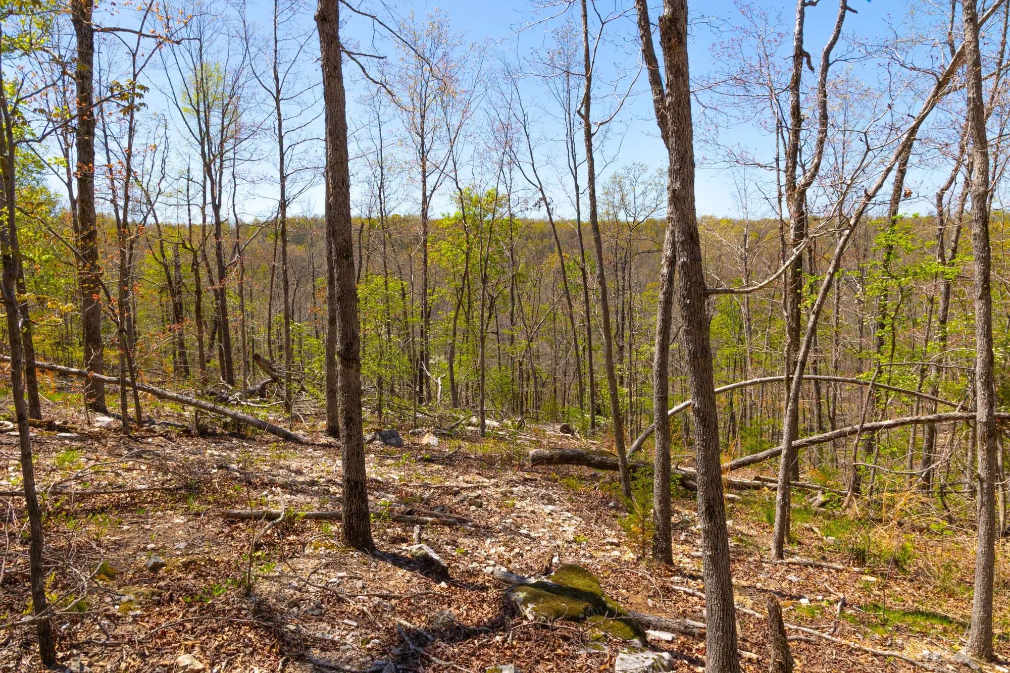 Lazybrook Tract 13 in Fulton County, AR