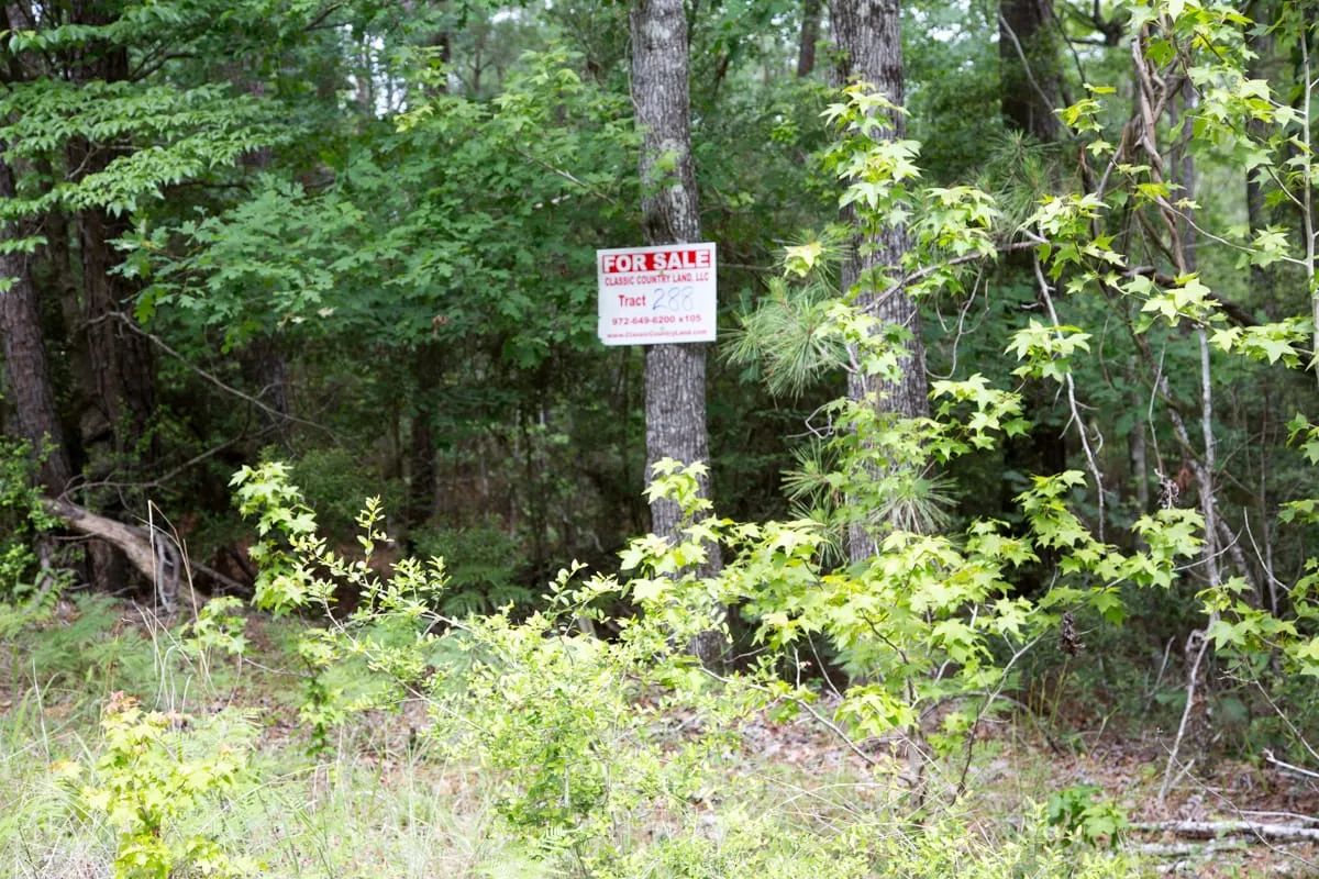 Rayburn Country Tract 288