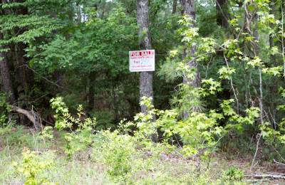 Rayburn Country Tract 288