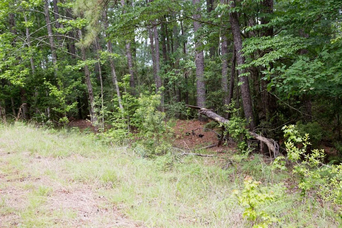 Rayburn Country Tract 288 - Image 2
