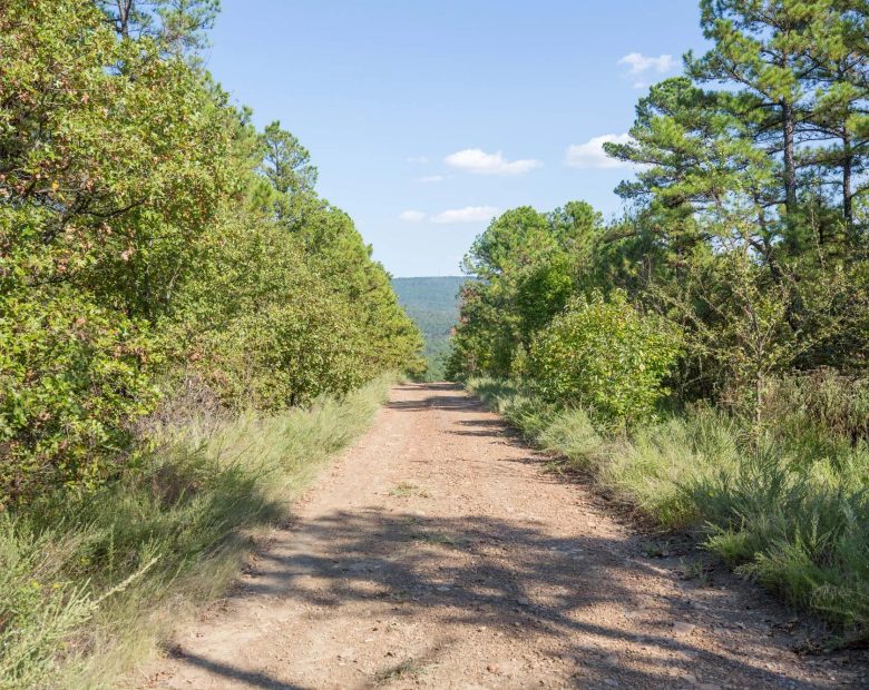 Stone Bridge Phase I Tract 57 in Latimer County, OK