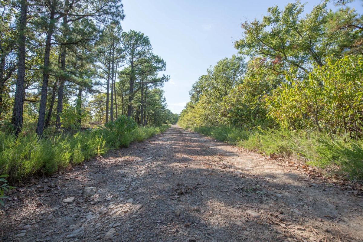 Stone Bridge Phase I Tract 57 - Image 2