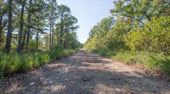 Stone Bridge Phase I Tract 57 in Latimer County, OK