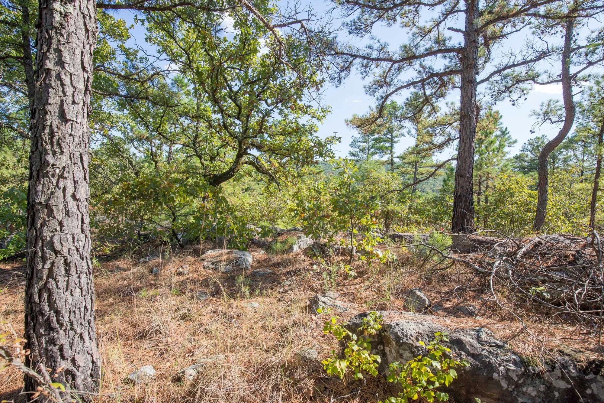 Stone Bridge Phase I Tract 57 in Latimer County, OK