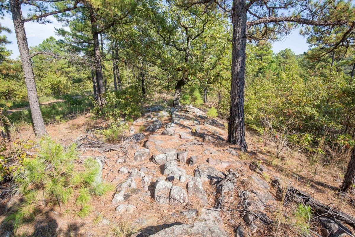 Decorative background for Stone Bridge Phase I Tract 57 image 5