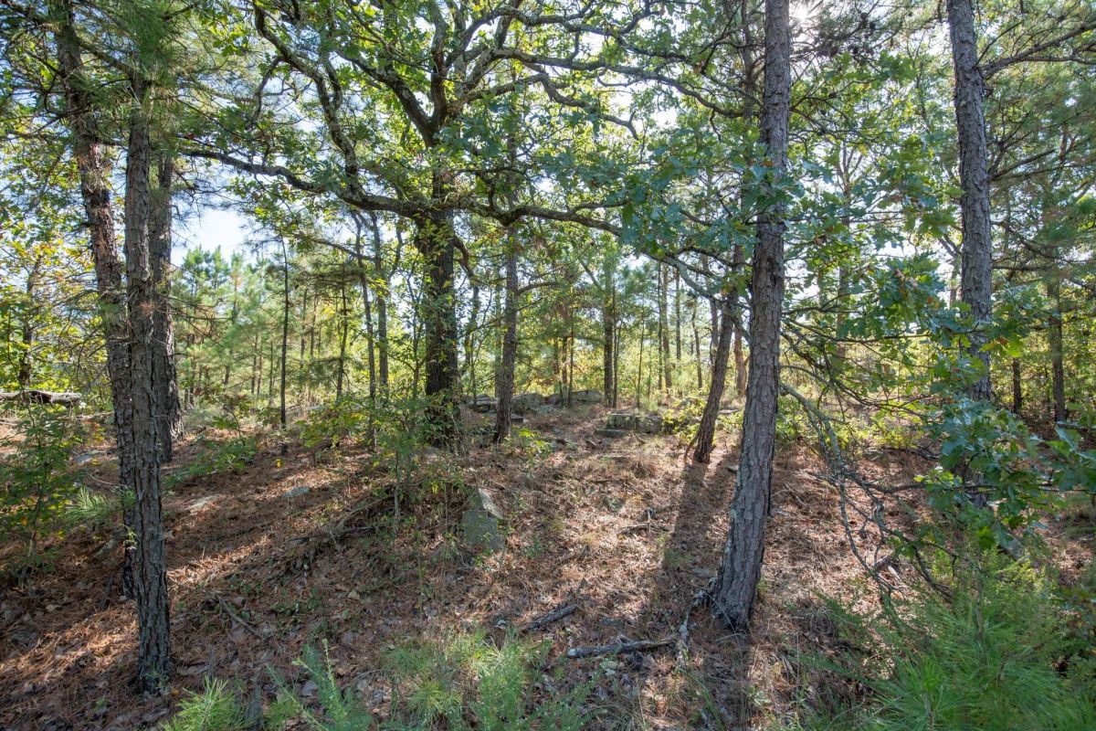 Decorative background for Stone Bridge Phase I Tract 57 image 6