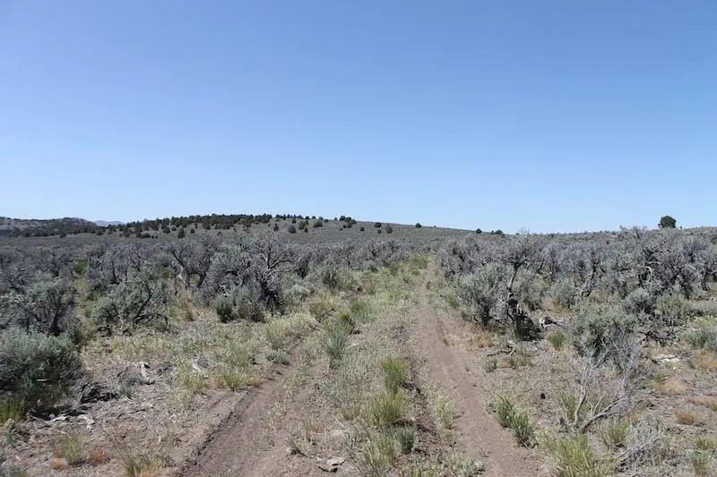 Moon Valley Ranch Tract 331 - Main image