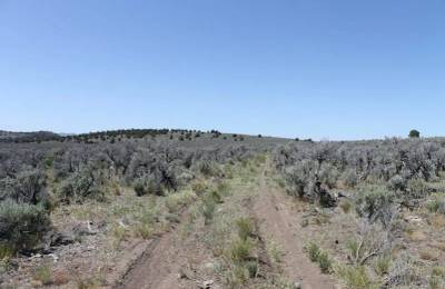 Moon Valley Ranch Tract 331