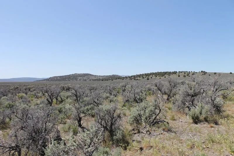 Moon Valley Ranch Tract 331 in Lassen County, CA